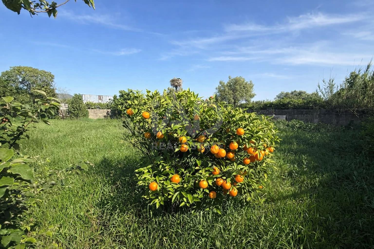 Grunde uden byggetilladelser til salg i Cadiz by - € 189.500 (Ref: 9988794)