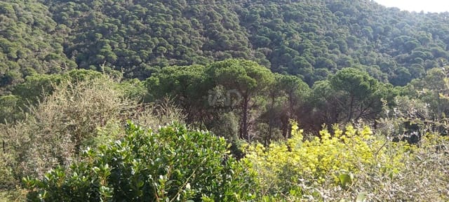 Building Plot for sale in Barcelona city - € 28,500 (Ref: 9988800)