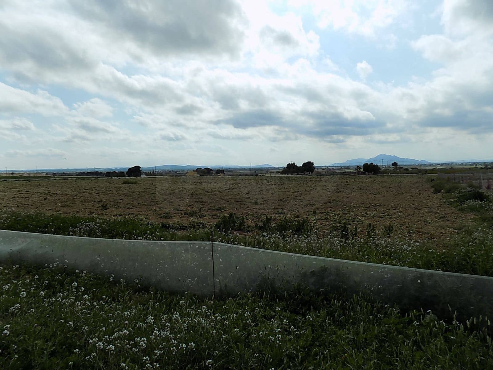 Terreno/Finca Rústica en La Marina en venta - 129.000 € (Ref: 9988803)