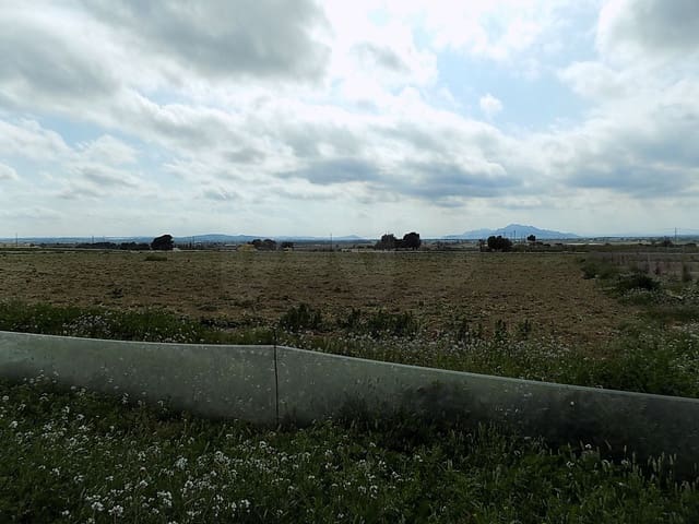 Teren niezagospodarowany na sprzedaż w La Marina, Elche / Elx - 129 000 € (Ref: 9988803)