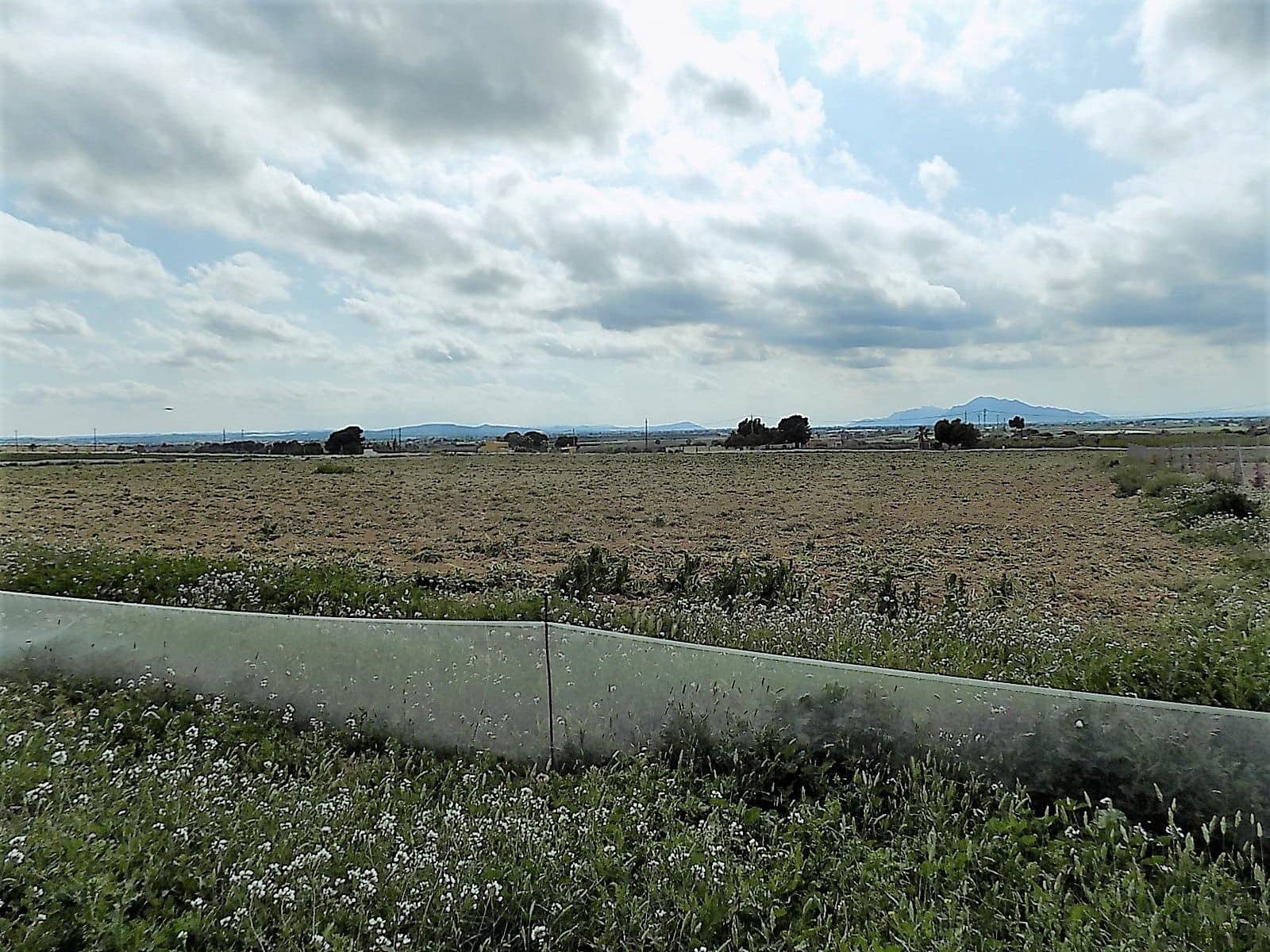 Terreno/Finca Rústica en La Marina en venta - 129.000 € (Ref: 9988803)
