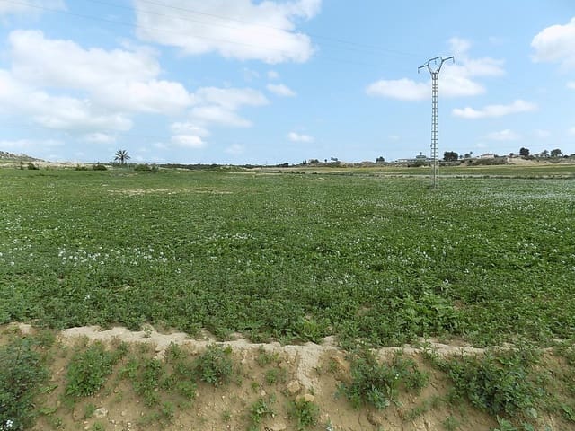 Teren niezagospodarowany na sprzedaż w La Marina, Elche / Elx - 129 000 € (Ref: 9988803)