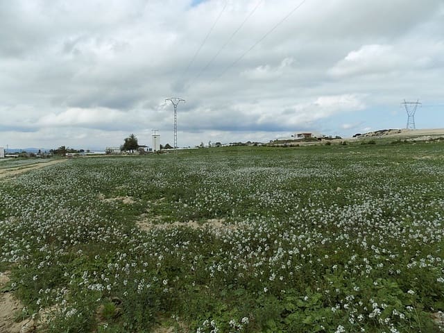 Teren niezagospodarowany na sprzedaż w La Marina, Elche / Elx - 129 000 € (Ref: 9988803)
