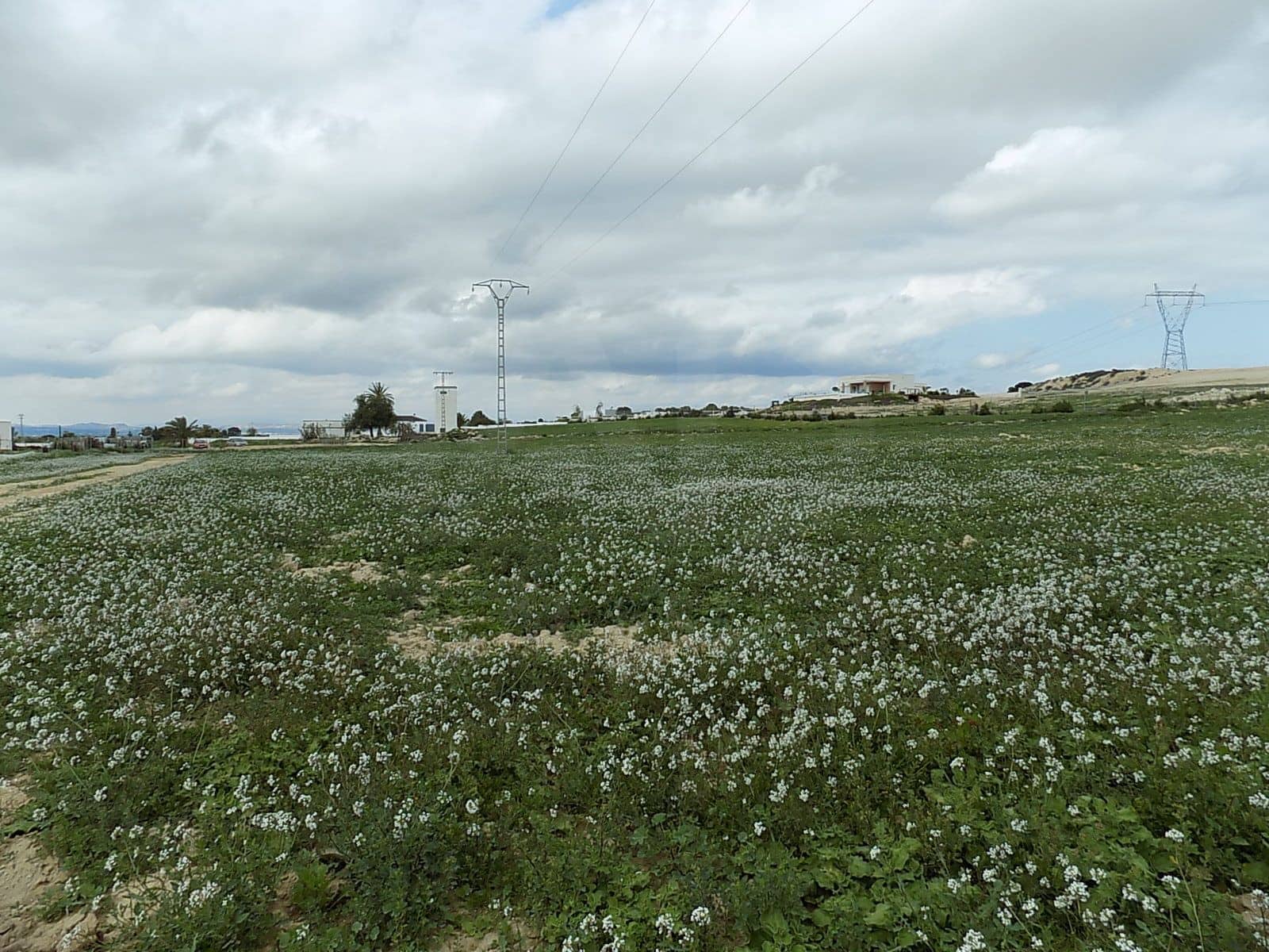 Terreno/Finca Rústica en La Marina en venta - 129.000 € (Ref: 9988803)