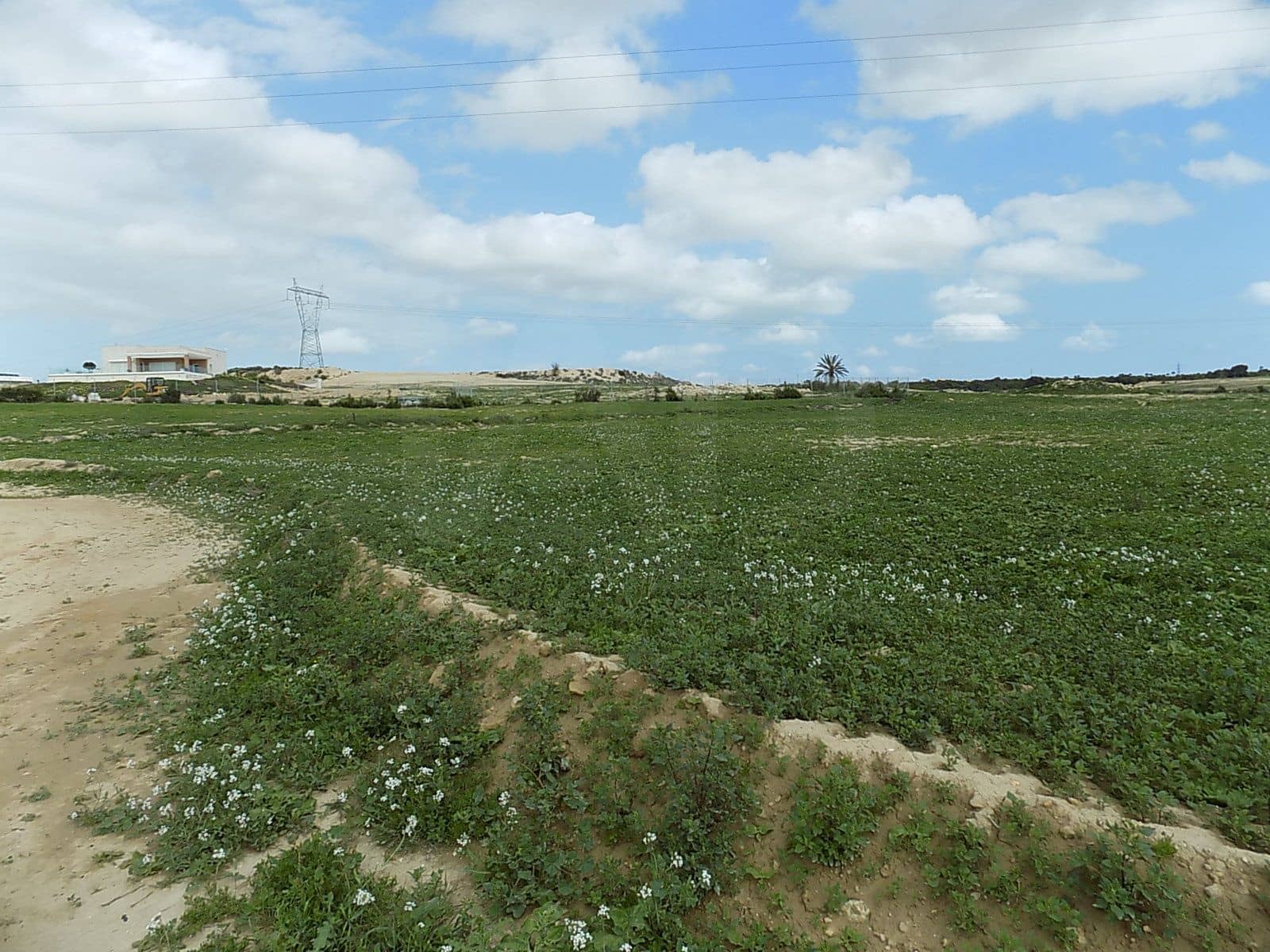 Terreno/Finca Rústica en La Marina en venta - 129.000 € (Ref: 9988803)