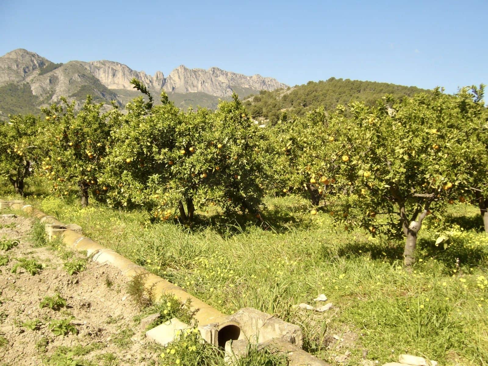 Mark till salu i Alicante stad - 55 000 € (Ref: 9988815)
