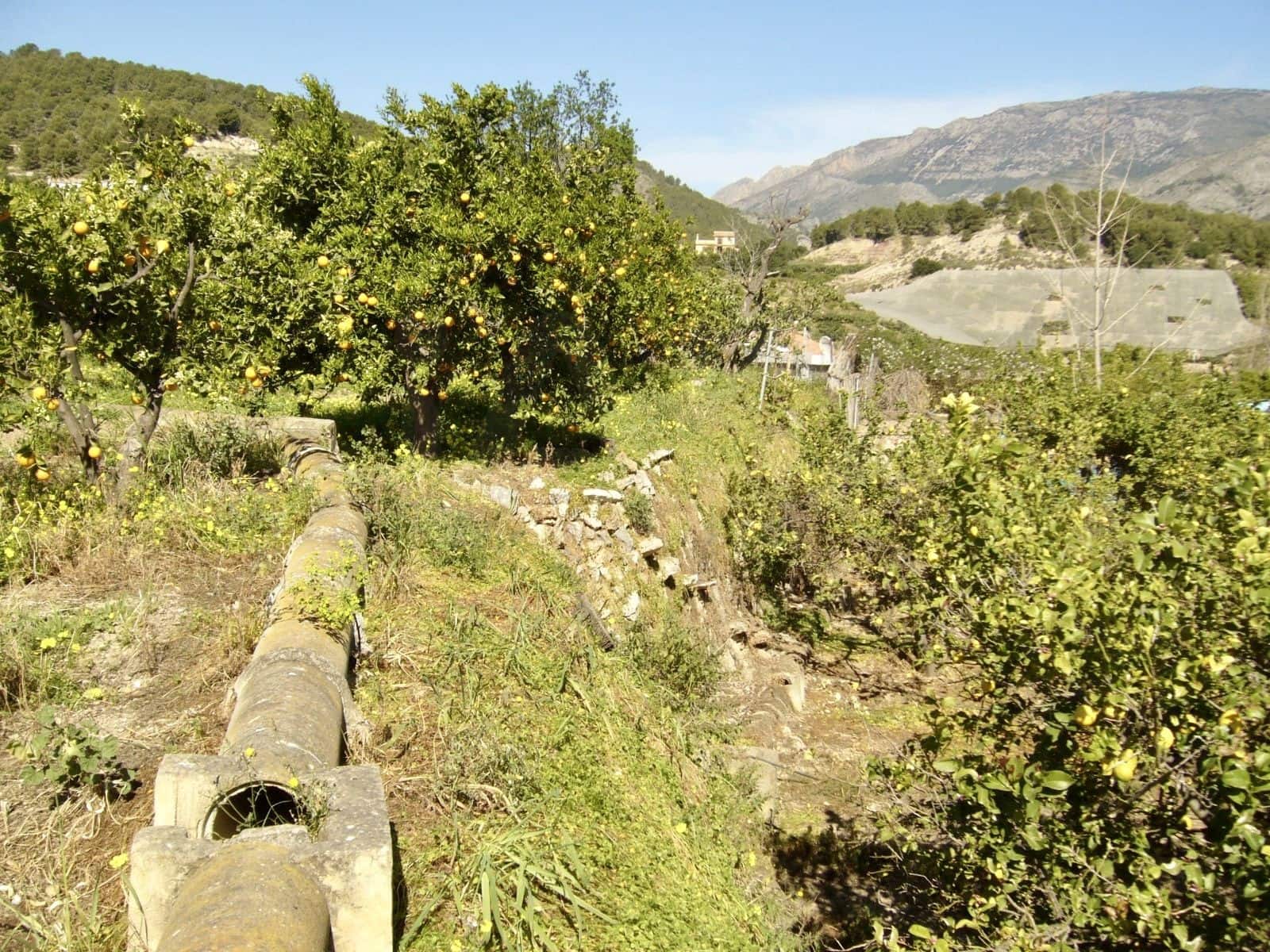 Mark till salu i Alicante stad - 55 000 € (Ref: 9988815)