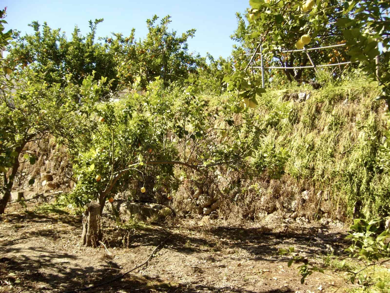 Mark till salu i Alicante stad - 55 000 € (Ref: 9988815)