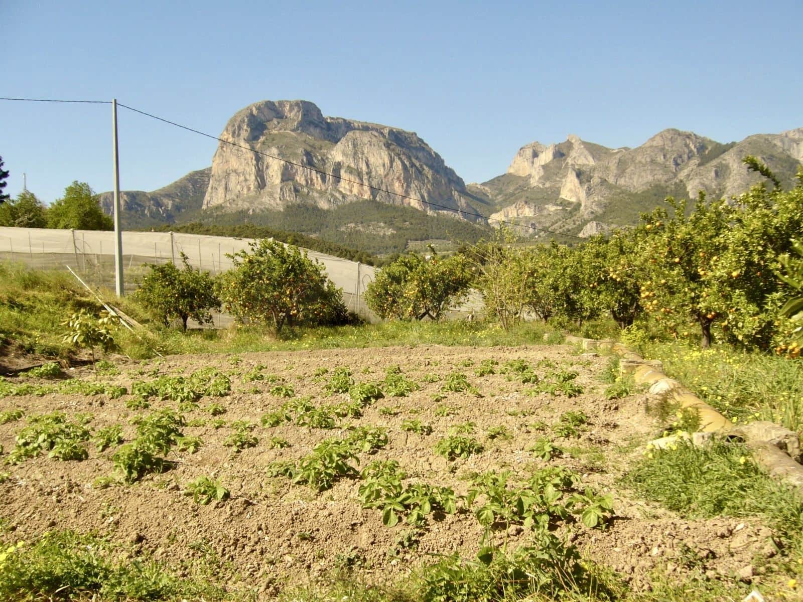 Mark till salu i Alicante stad - 55 000 € (Ref: 9988815)