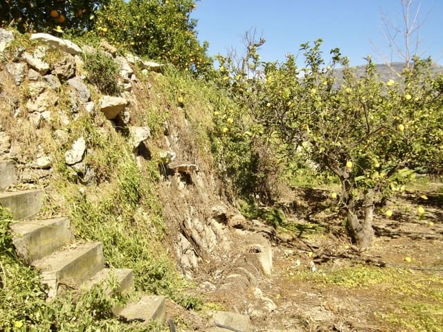 Ubebygd land til salgs i Polop - € 55 000 (Ref: 9988815)