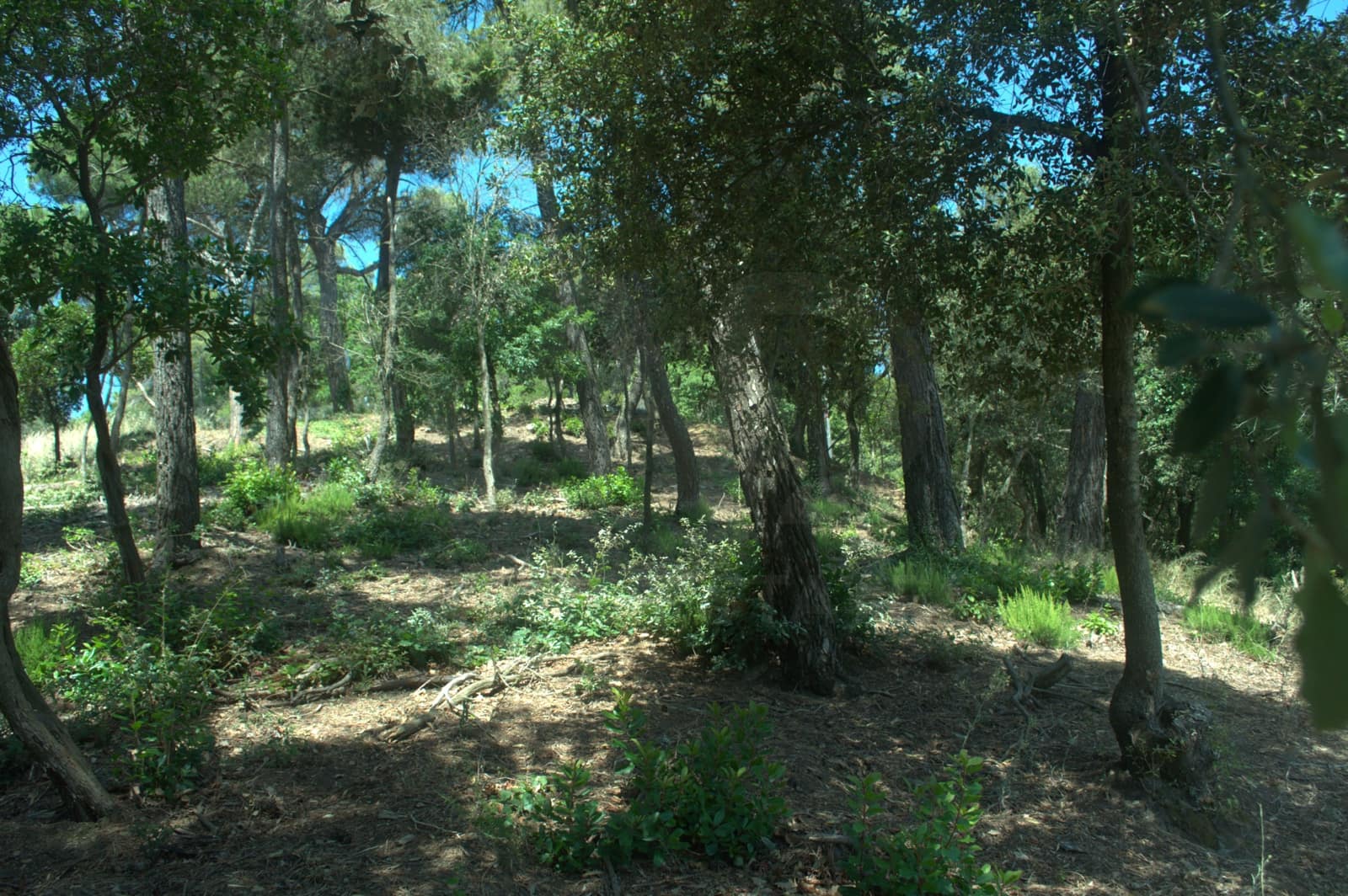Byggetomt til salgs i Barcelona by - € 350 000 (Ref: 9988823)