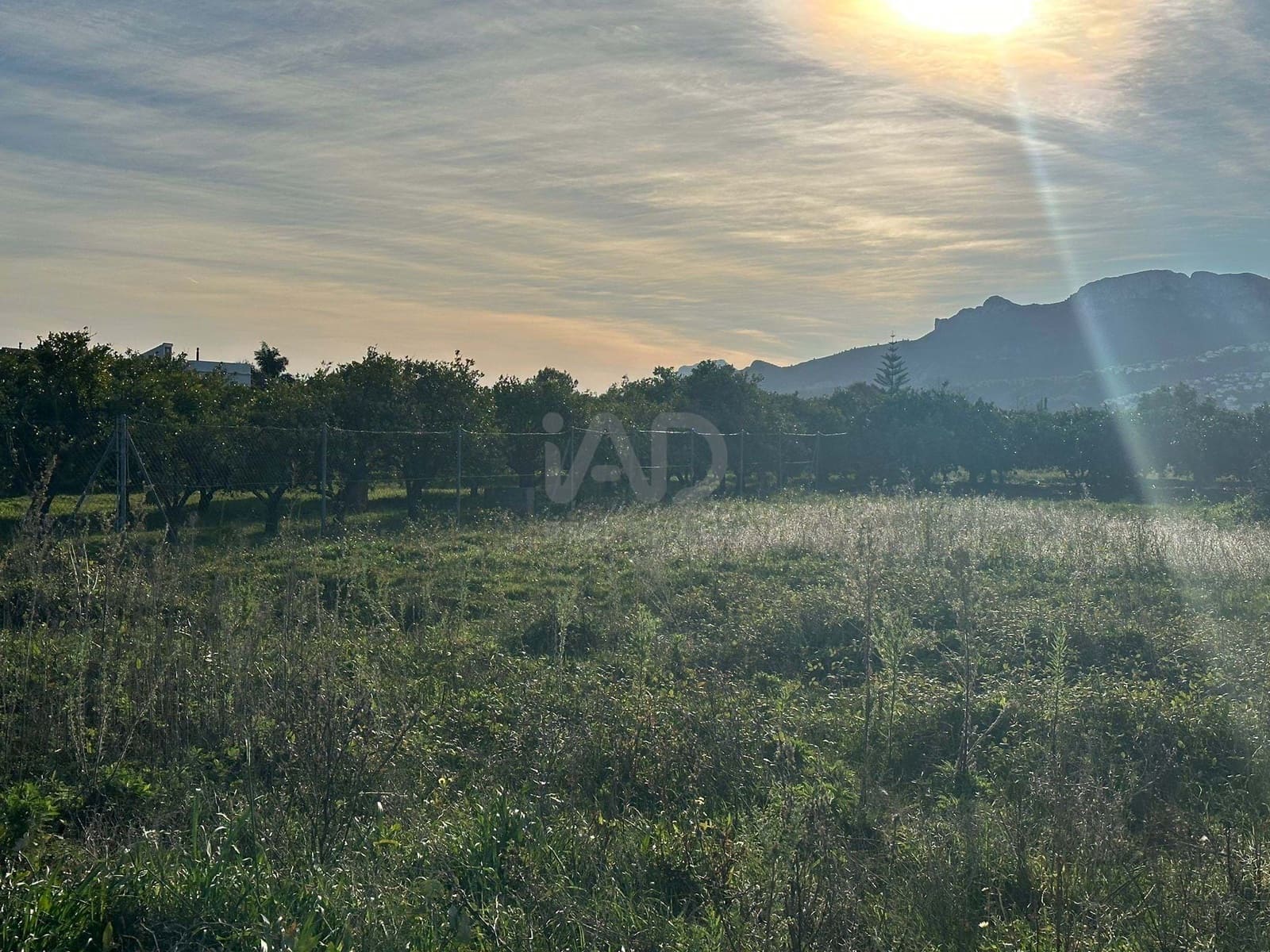 Terre non Aménagée à vendre à Alicante ville - 40 000 € (Ref: 9988825)
