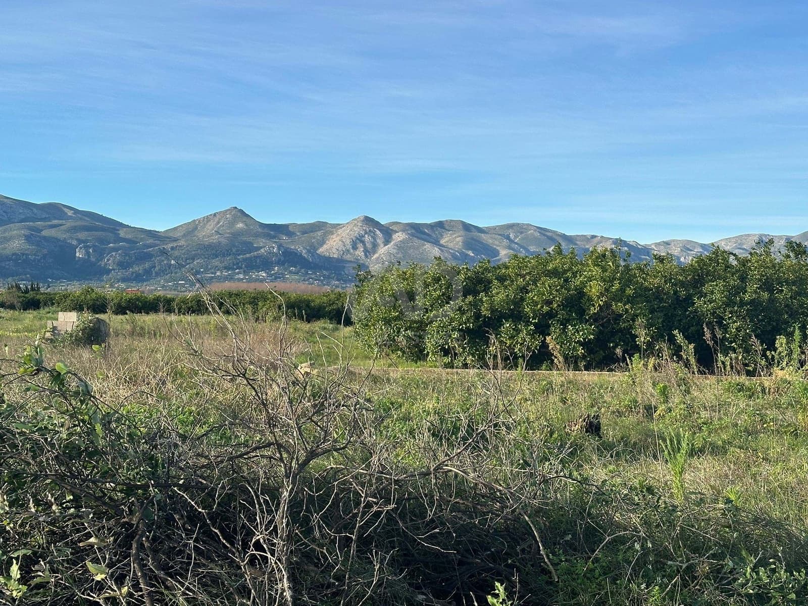 Terre non Aménagée à vendre à Alicante ville - 40 000 € (Ref: 9988825)