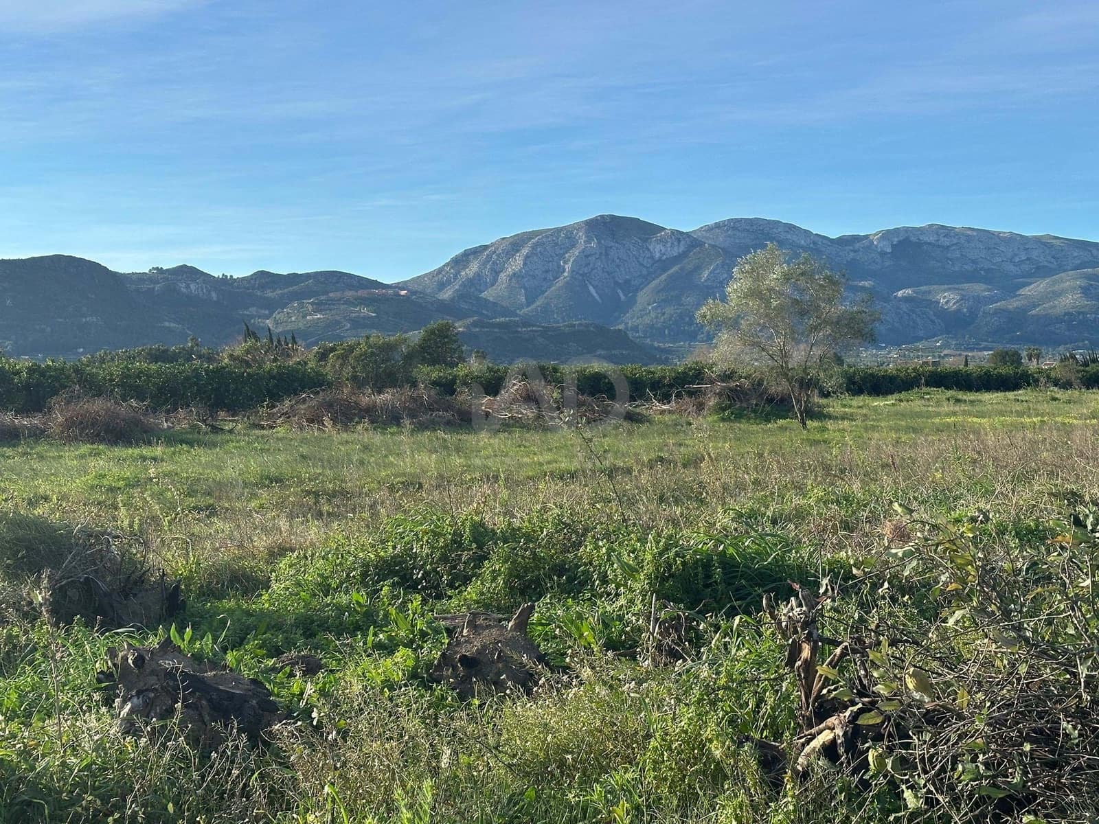 Terre non Aménagée à vendre à Alicante ville - 40 000 € (Ref: 9988825)