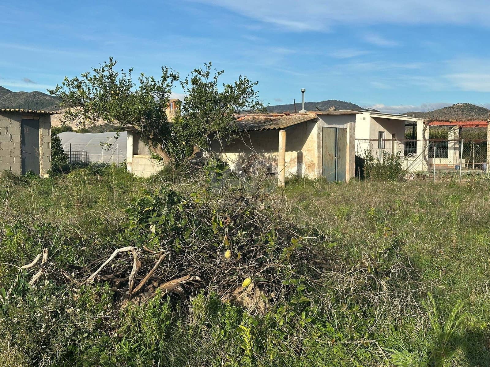 Terre non Aménagée à vendre à Alicante ville - 40 000 € (Ref: 9988825)