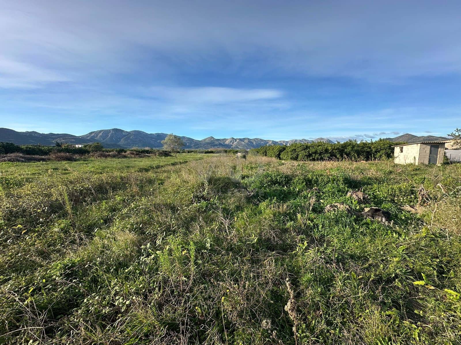 Terre non Aménagée à vendre à Alicante ville - 40 000 € (Ref: 9988825)