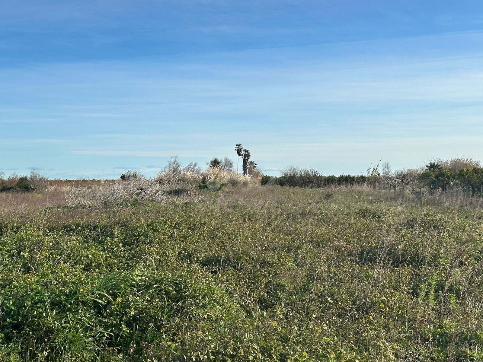Terre non Aménagée à vendre à Alicante ville - 40 000 € (Ref: 9988825)