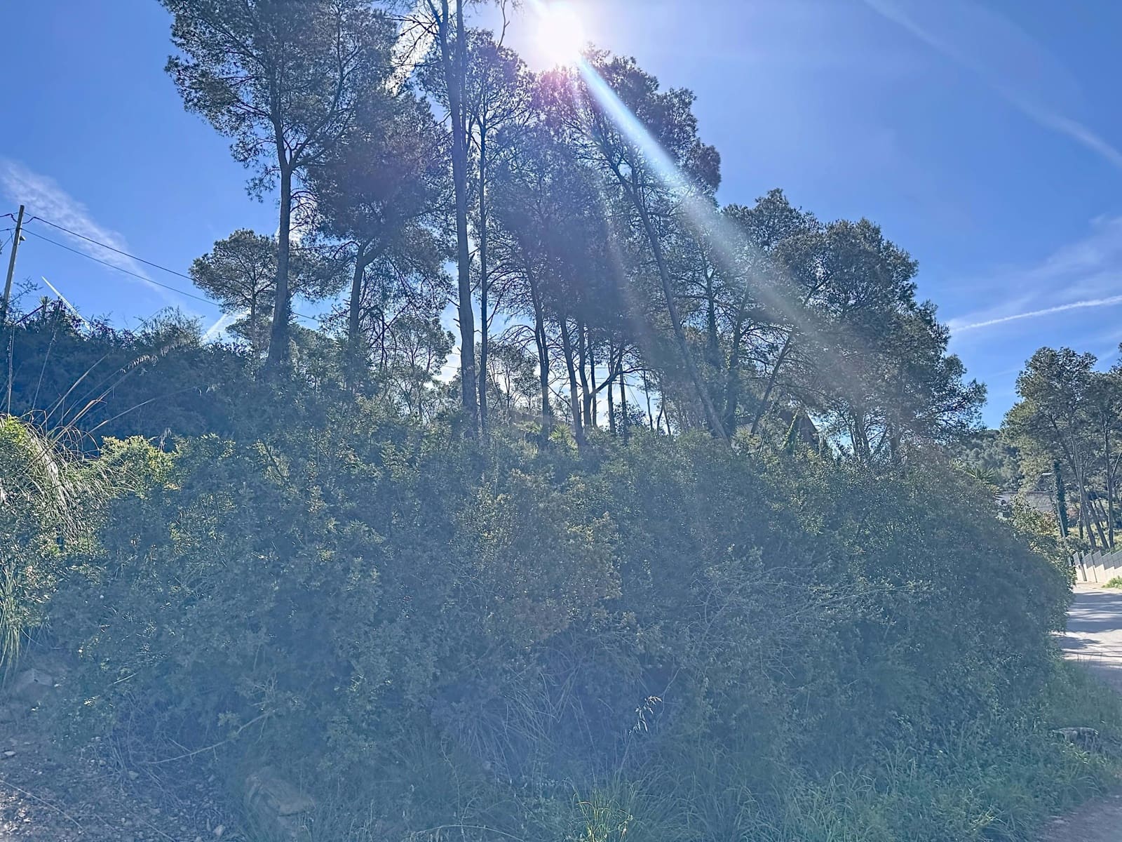 Building Plot for sale in Barcelona city - € 86,000 (Ref: 9988851)