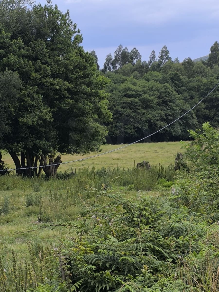 Finca/Casa Rural en Valdoviño en venta - 180.000 € (Ref: 9988852)