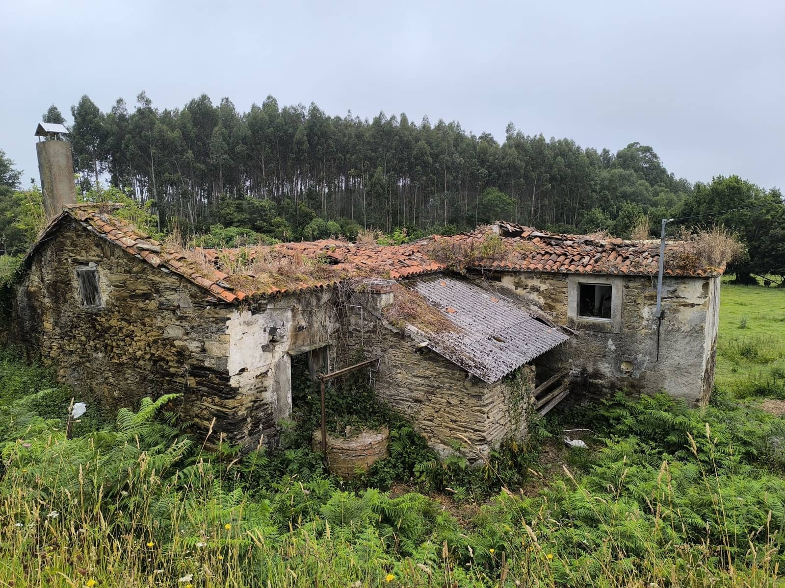 Finca/Casa Rural en Valdoviño en venta - 180.000 € (Ref: 9988852)