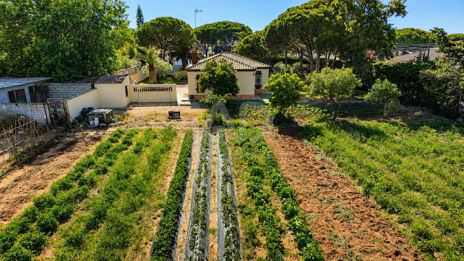3 slaapkamer Villa te koop in Cadiz stad - € 559.000 (Ref: 9988856)
