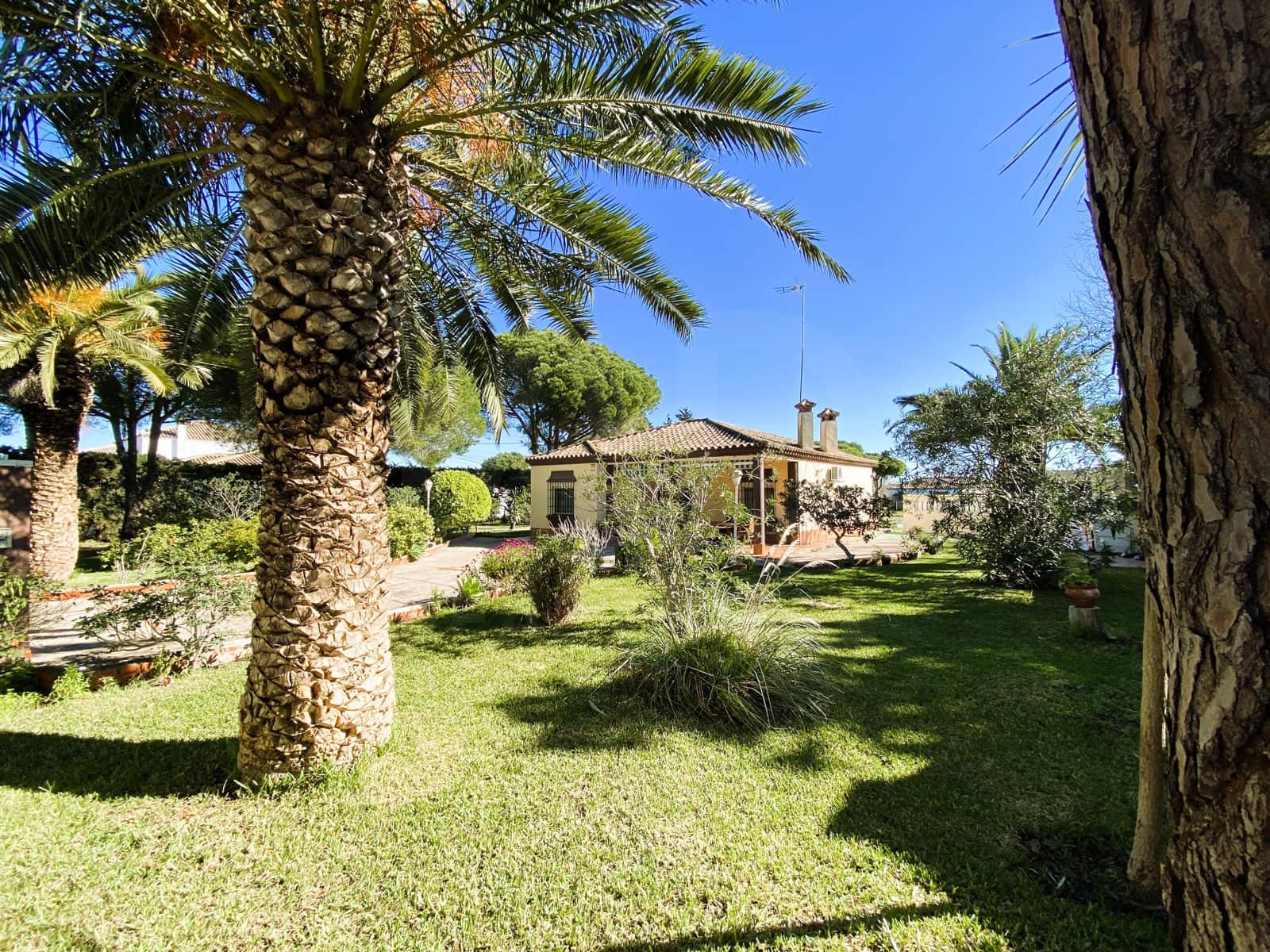 3 slaapkamer Villa te koop in Cadiz stad - € 559.000 (Ref: 9988856)