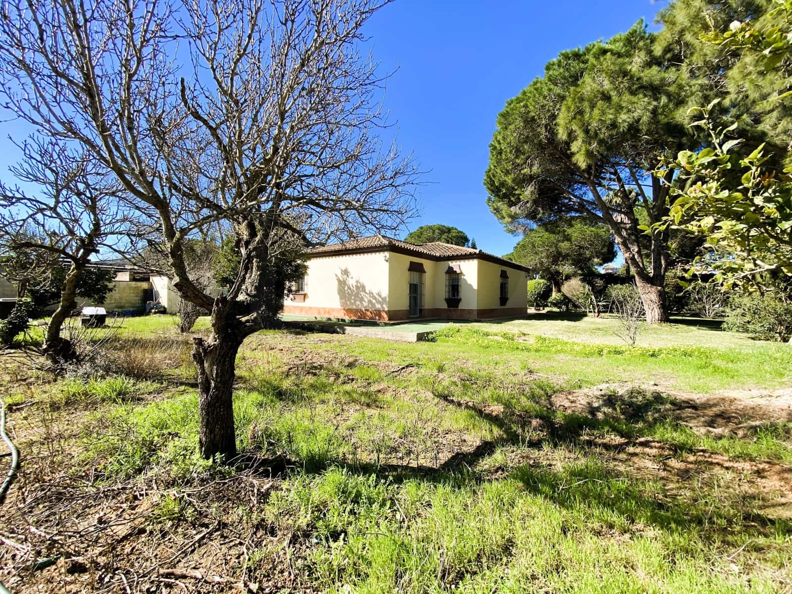 3 slaapkamer Villa te koop in Cadiz stad - € 559.000 (Ref: 9988856)