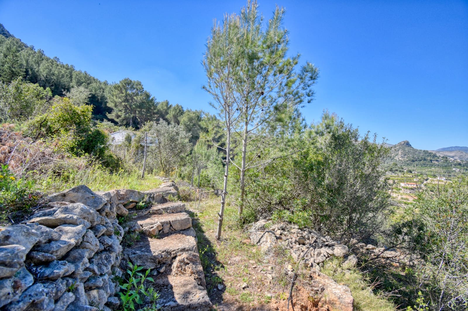 Terre non Aménagée à vendre à Alicante ville - 38 900 € (Ref: 9988865)