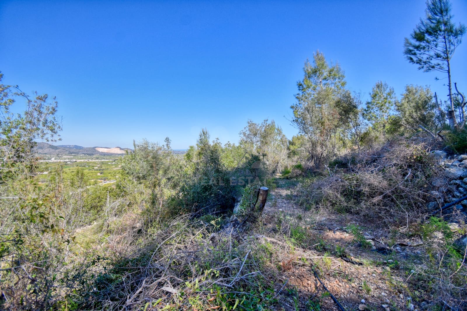Terre non Aménagée à vendre à Alicante ville - 38 900 € (Ref: 9988865)
