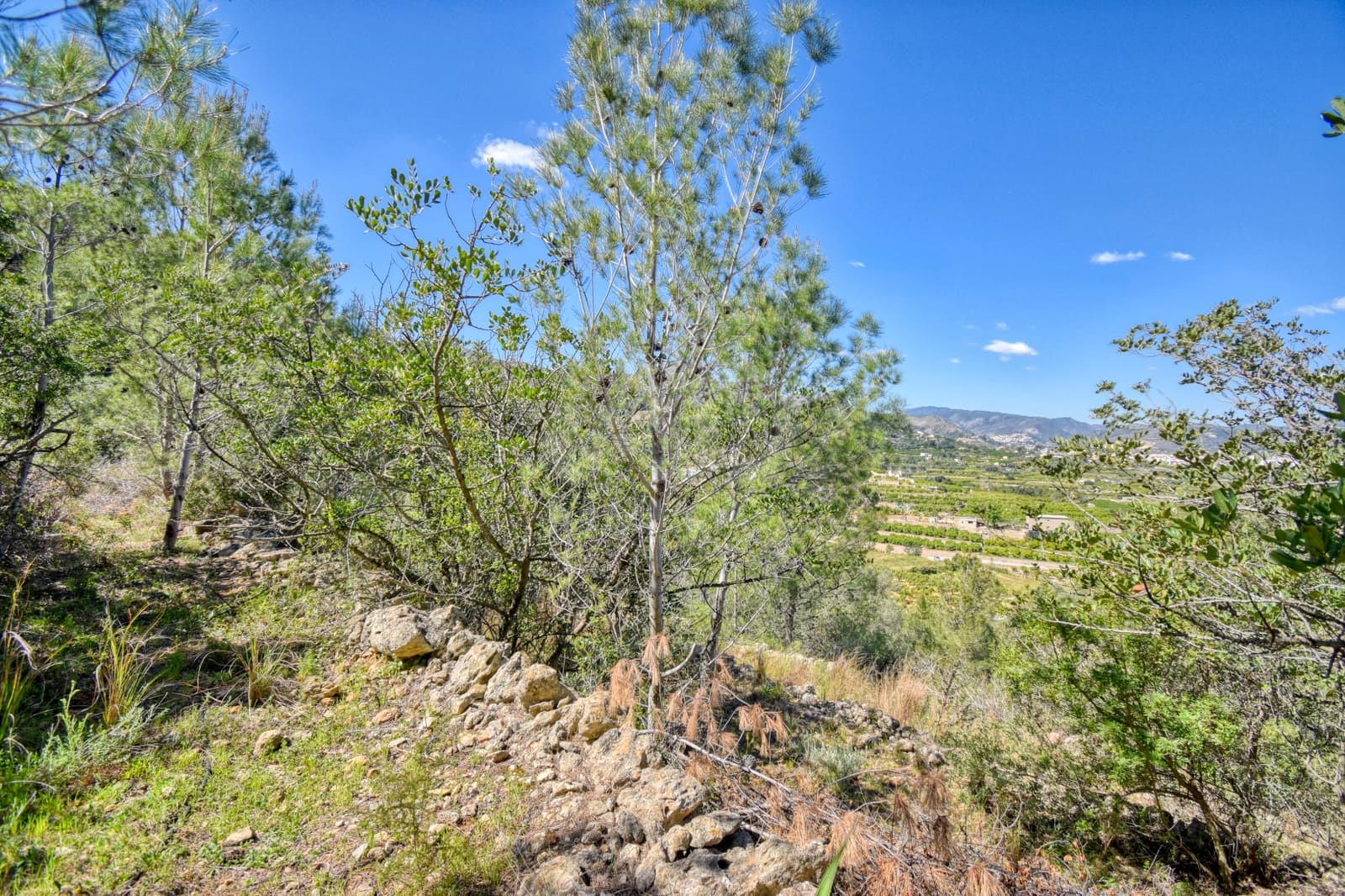 Terre non Aménagée à vendre à Alicante ville - 38 900 € (Ref: 9988865)