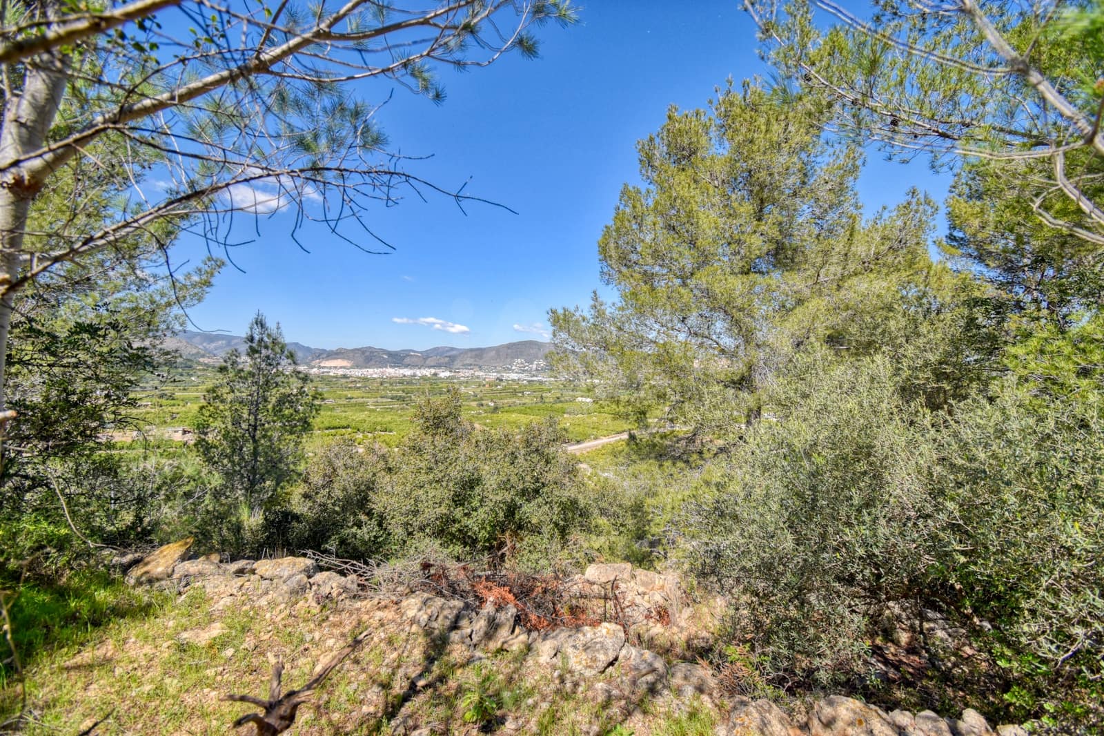 Terre non Aménagée à vendre à Alicante ville - 38 900 € (Ref: 9988865)