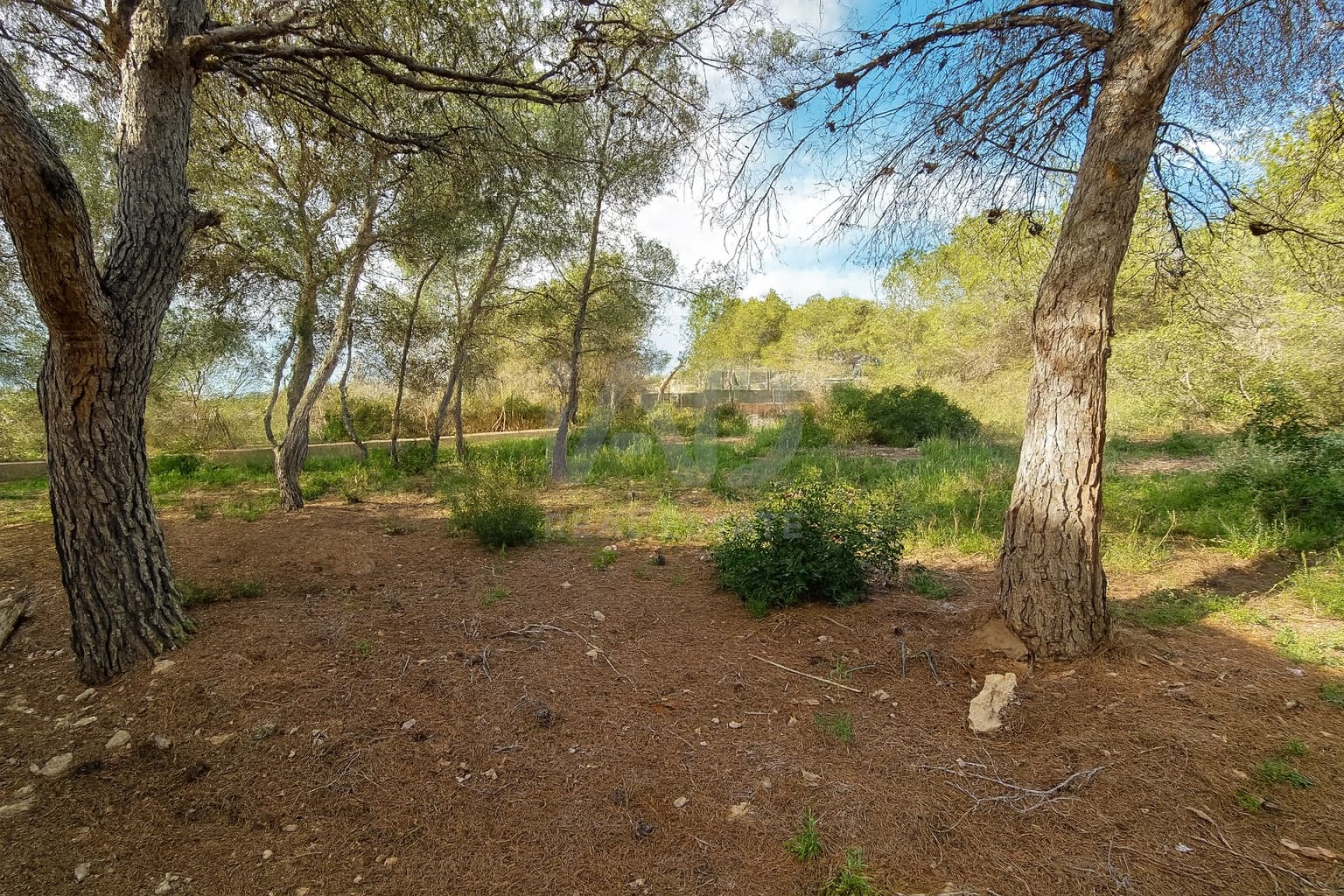 Finca/Casa Rural de 3 habitaciones en Alicante / Alacant ciudad en venta con garaje - 269.000 € (Ref: 9988875)