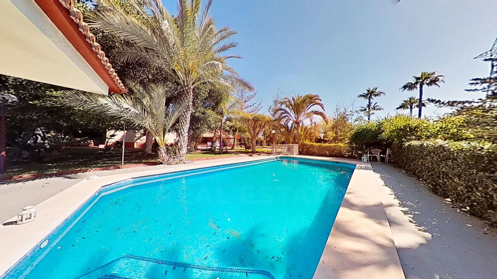 5 soverom Villa til salgs i Elche / Elx med svømmebasseng garasje - € 598 000 (Ref: 9988883)