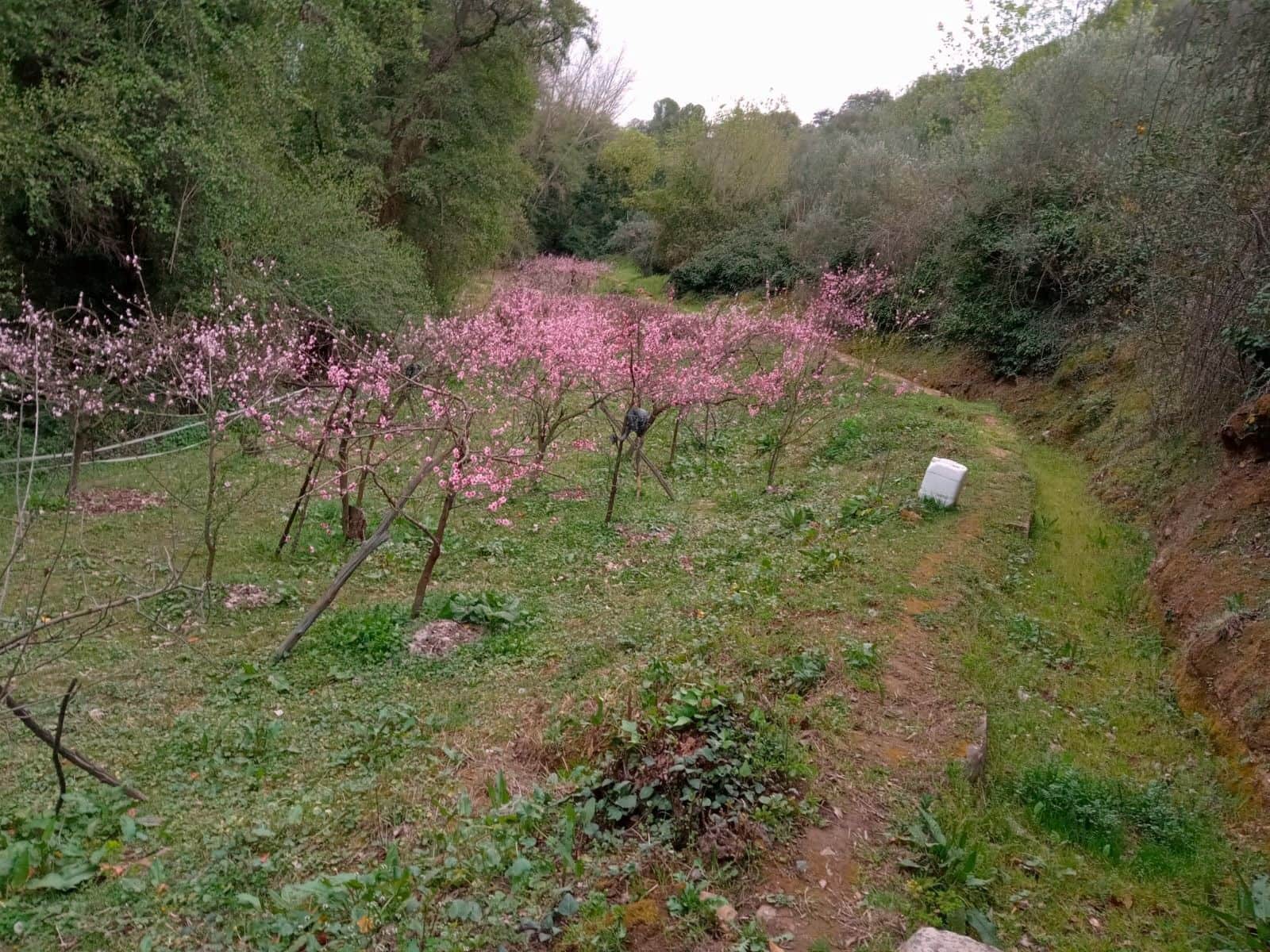 Grond te koop in Huelva stad - € 220.000 (Ref: 9988895)