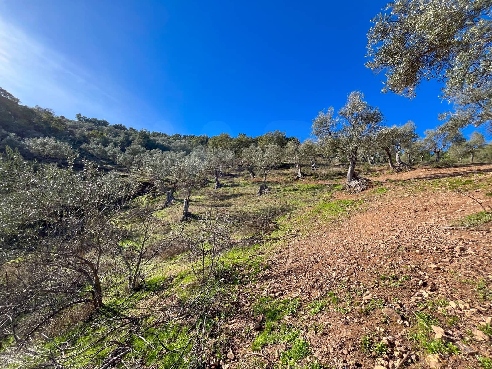 Grond te koop in Huelva stad - € 220.000 (Ref: 9988895)