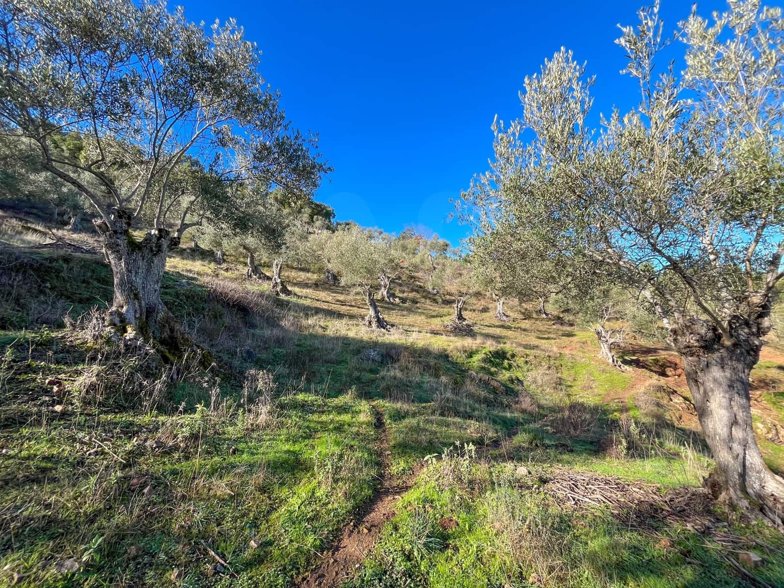 Grond te koop in Huelva stad - € 220.000 (Ref: 9988895)