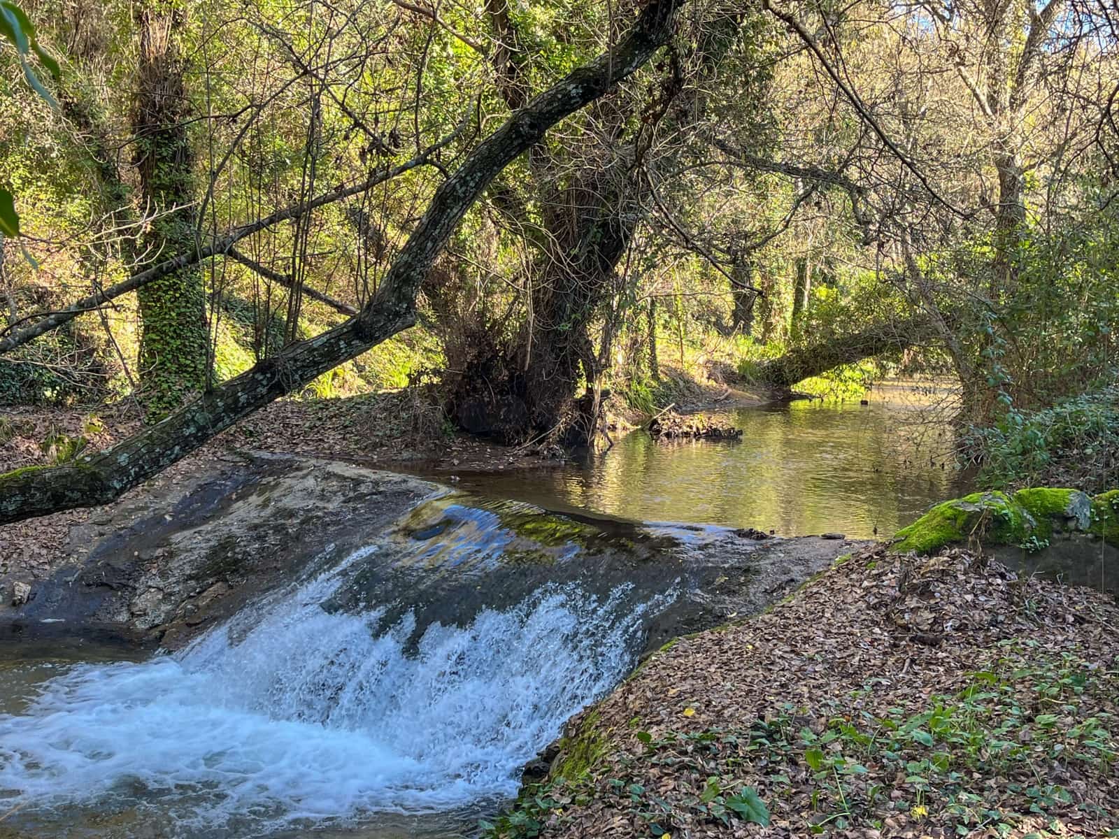 Grond te koop in Huelva stad - € 220.000 (Ref: 9988895)