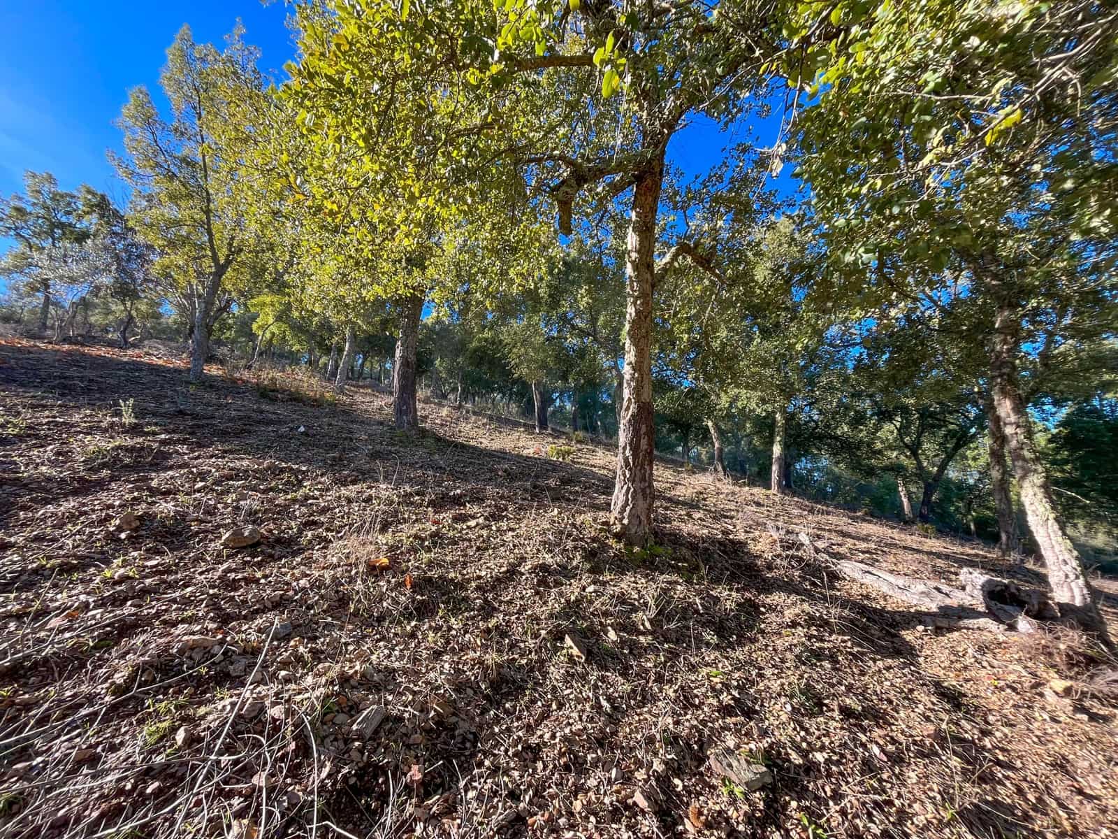 Grond te koop in Huelva stad - € 220.000 (Ref: 9988895)