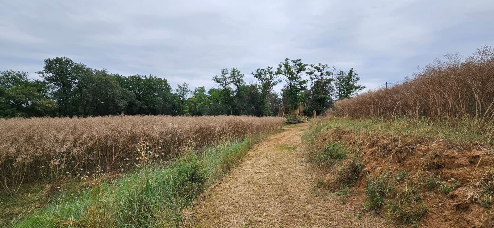 Undeveloped Land for sale in Girona city - € 195,000 (Ref: 9988899)