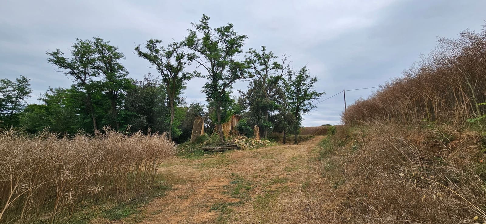 Undeveloped Land for sale in Girona city - € 195,000 (Ref: 9988899)