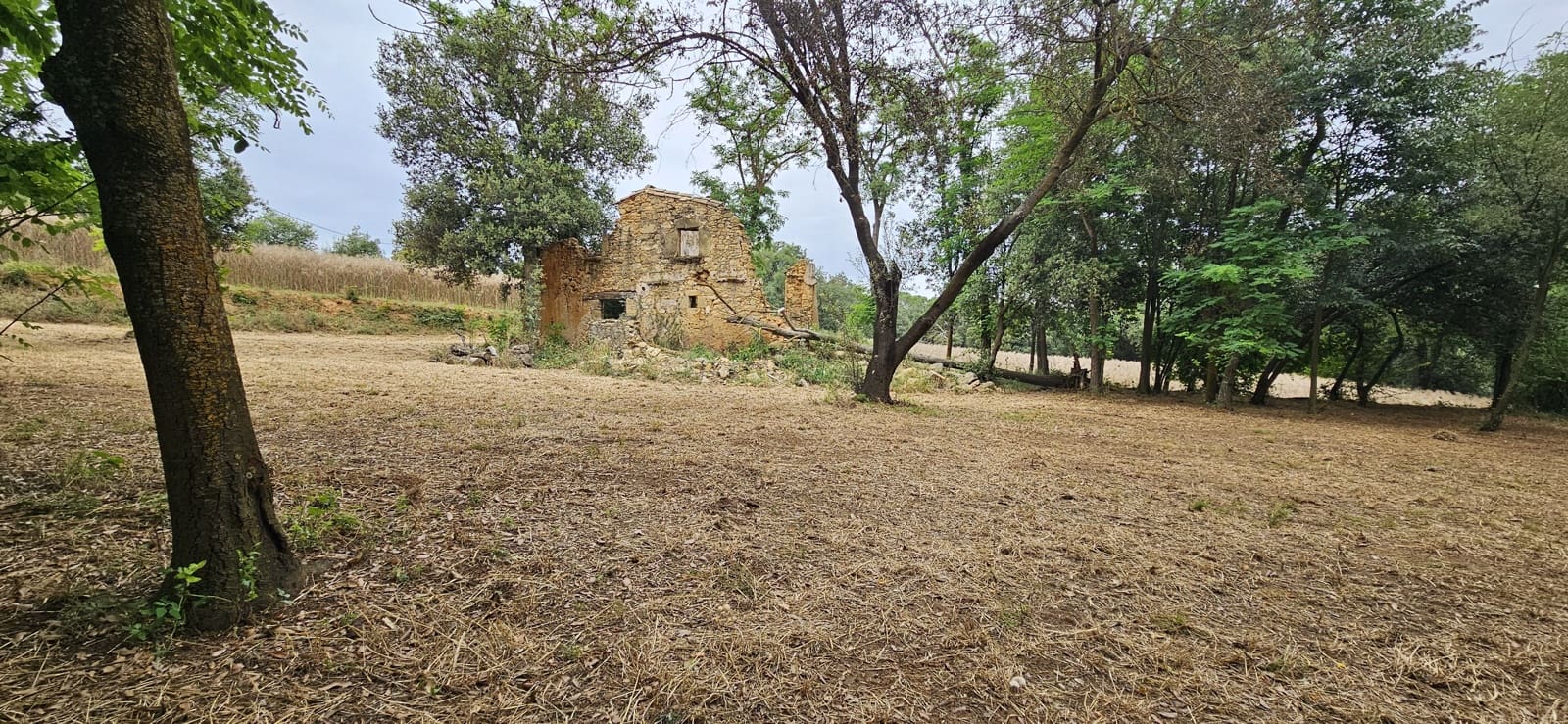 Undeveloped Land for sale in Girona city - € 195,000 (Ref: 9988899)