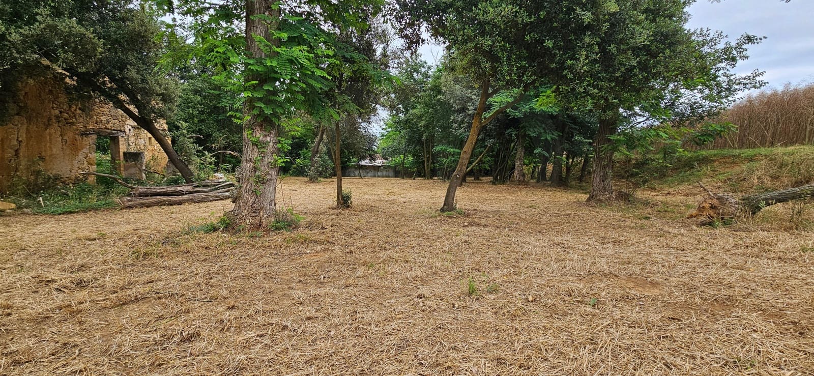 Undeveloped Land for sale in Girona city - € 195,000 (Ref: 9988899)