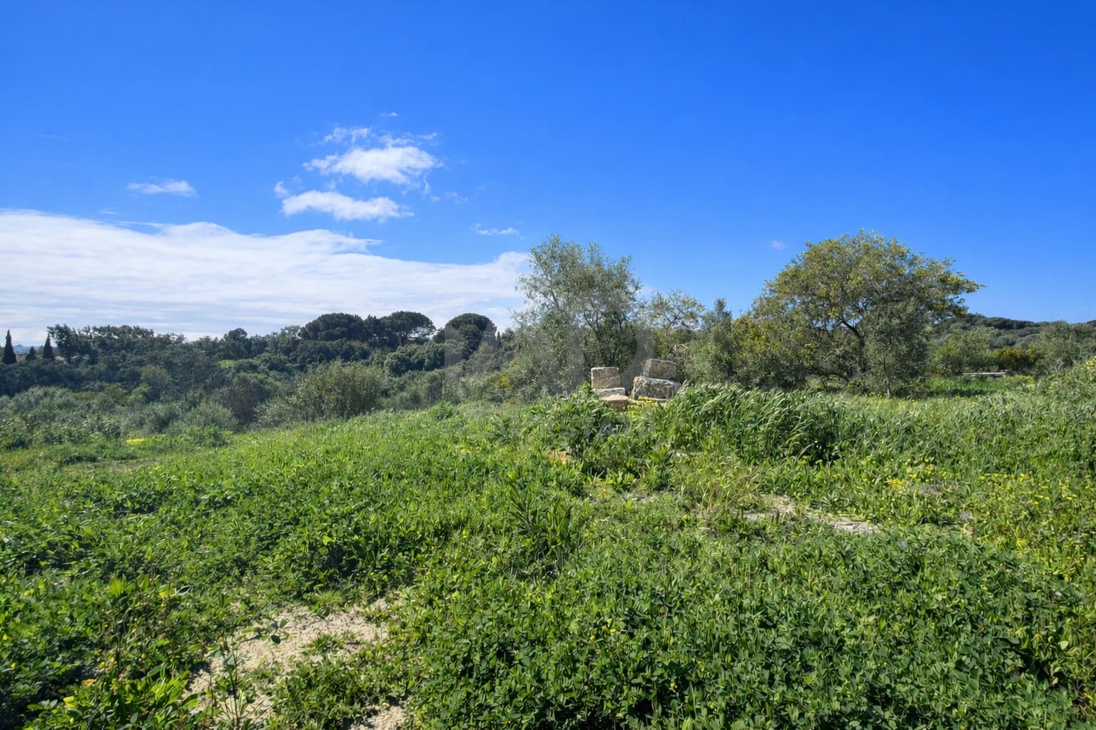 Area Edificabile in vendita in Cadice citta - 785.000 € (Rif: 9988907)