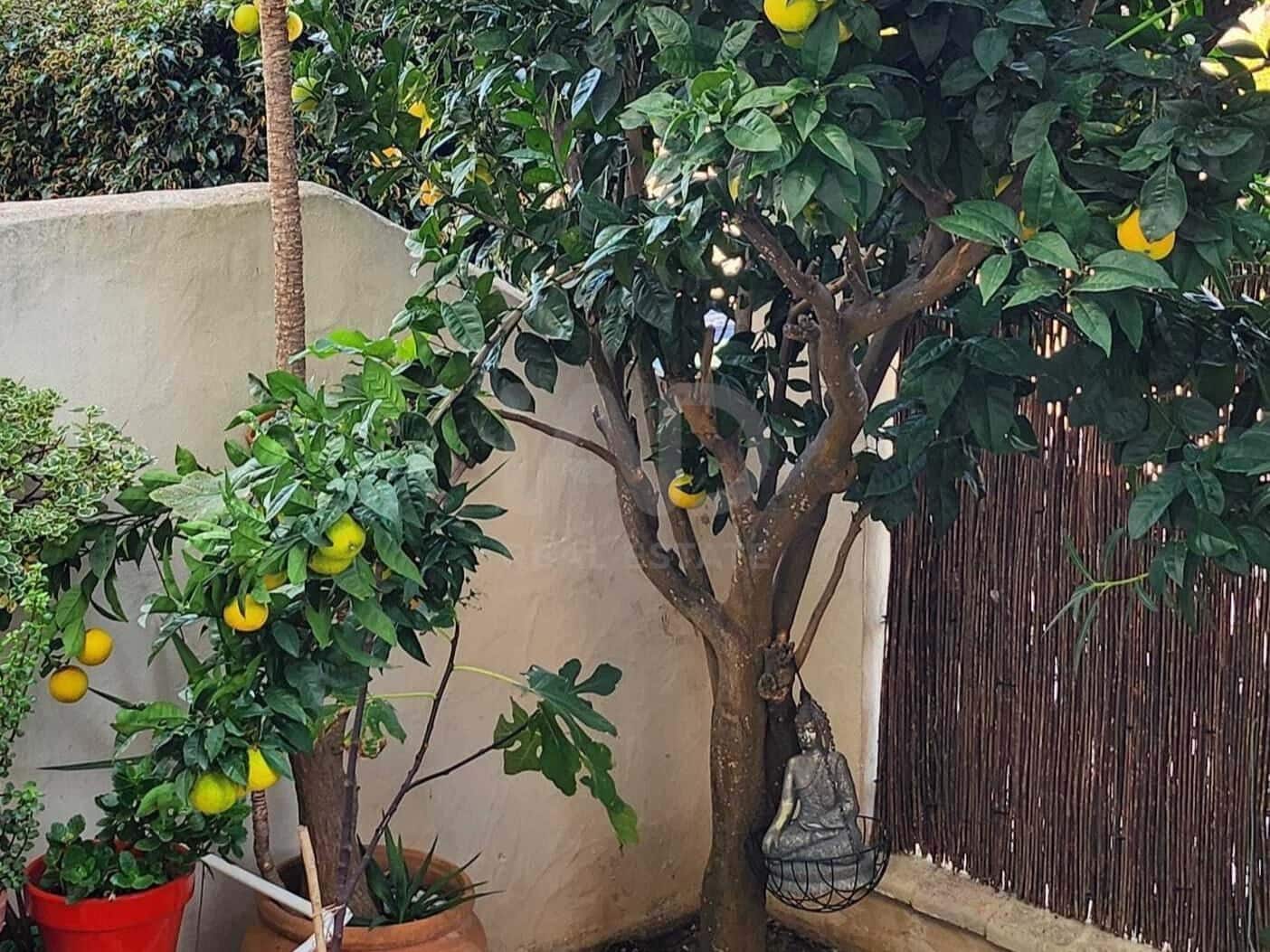 3 soverom Rekkehus til salgs i Cadiz by med garasje - € 597 000 (Ref: 9988921)