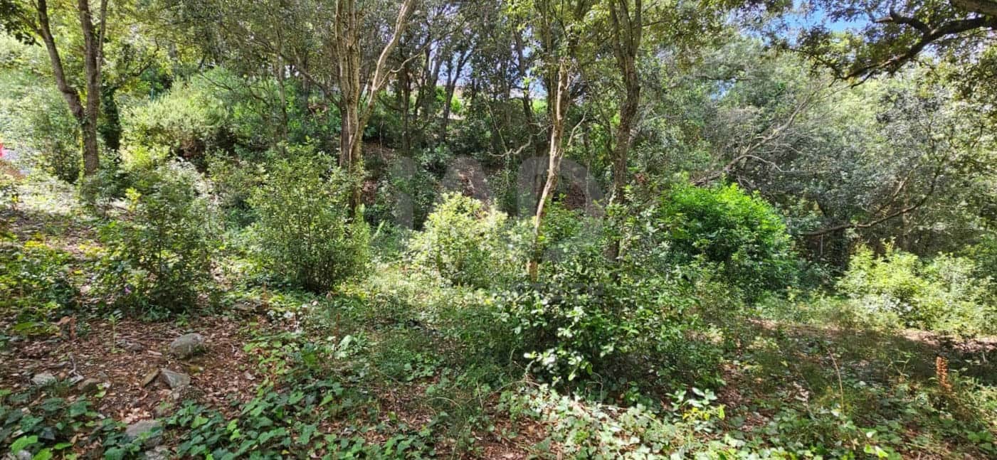 Building Plot for sale in Girona city - € 180,000 (Ref: 9988923)