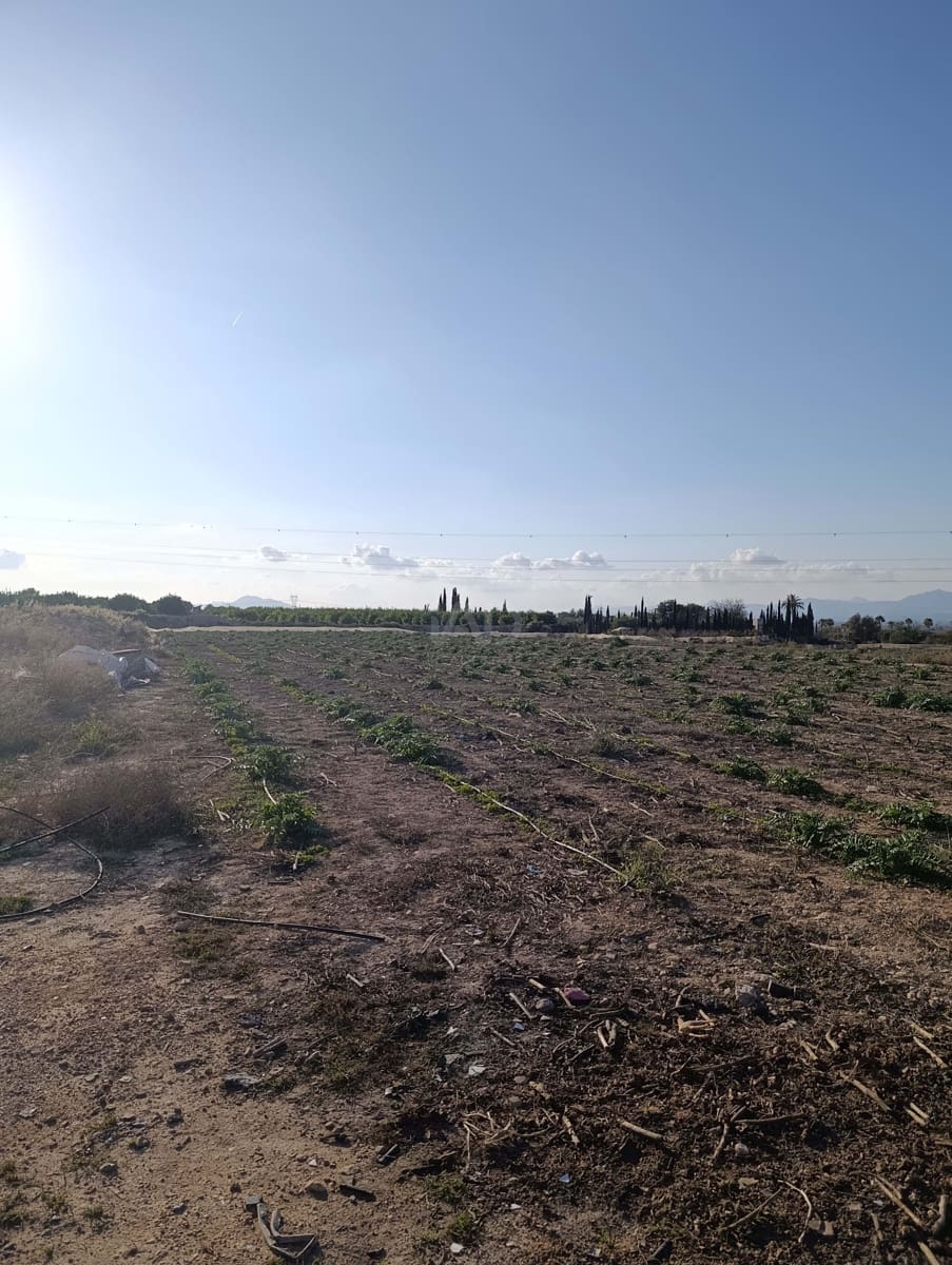 Terreno/Finca Rústica en La Hoya en venta - 149.000 € (Ref: 9988936)