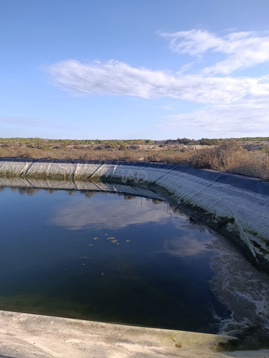 Terreno/Finca Rústica en La Hoya en venta - 149.000 € (Ref: 9988936)