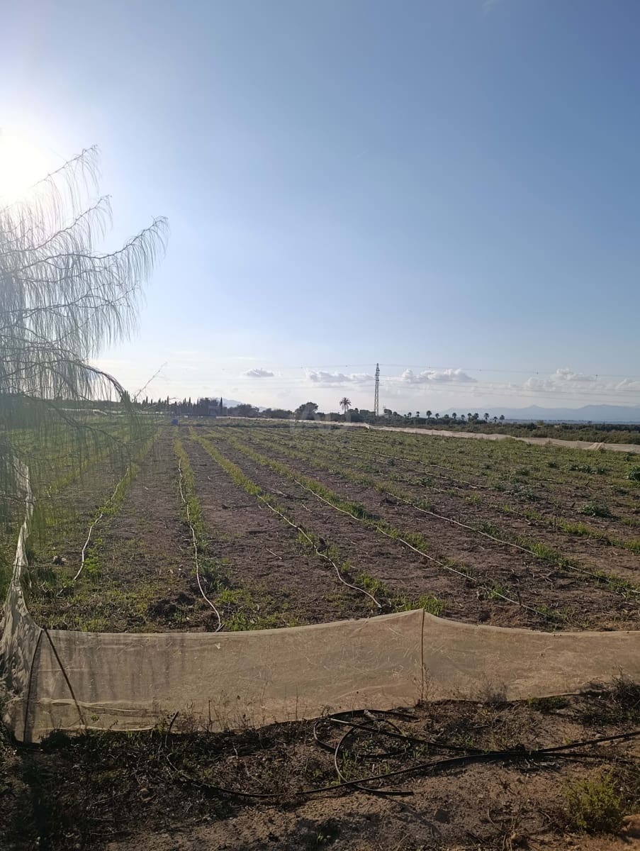 Terreno/Finca Rústica en La Hoya en venta - 149.000 € (Ref: 9988936)