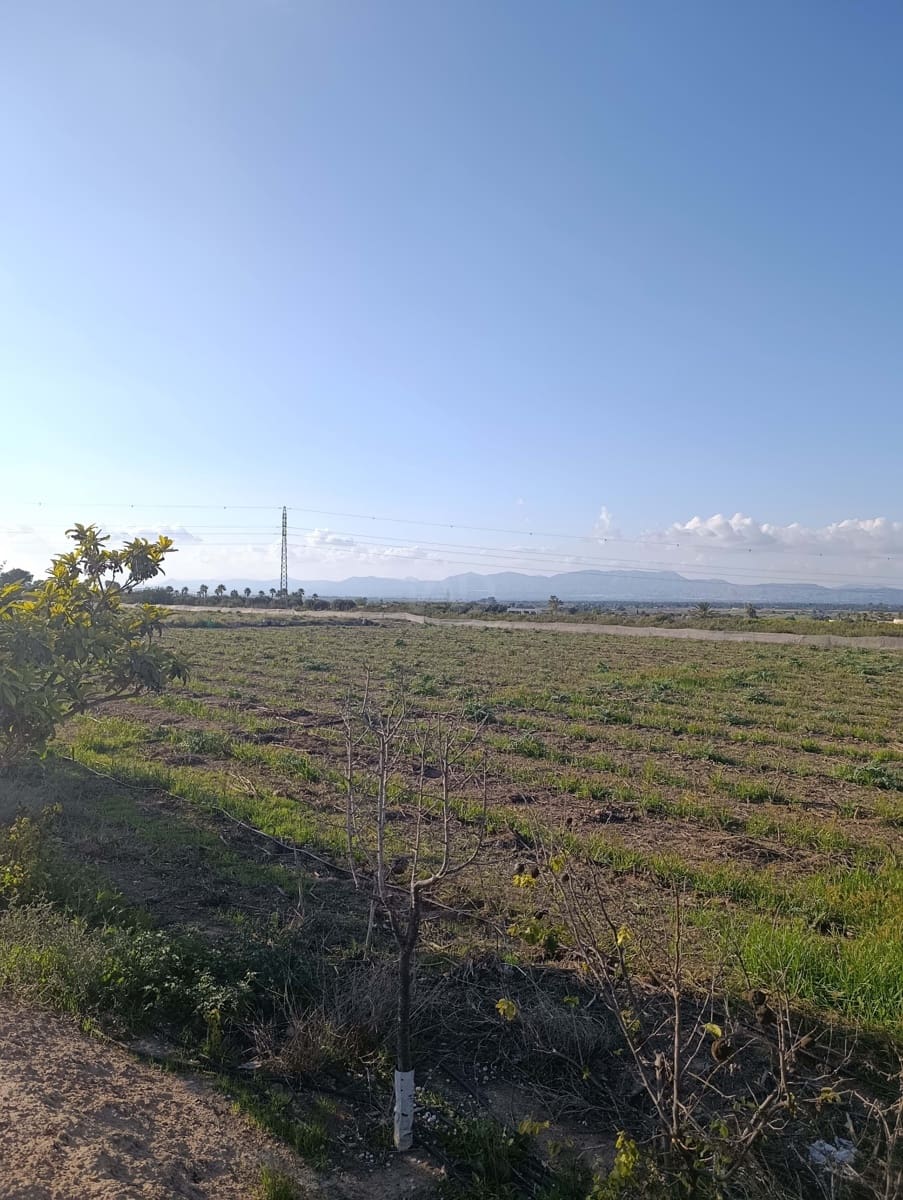 Terreno/Finca Rústica en La Hoya en venta - 149.000 € (Ref: 9988936)