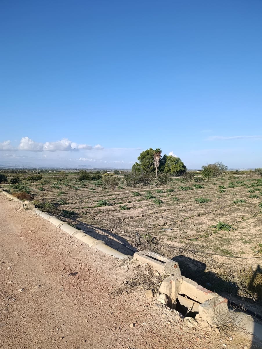 Terreno/Finca Rústica en La Hoya en venta - 149.000 € (Ref: 9988936)